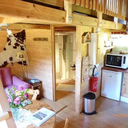 Chalet Fleur Des Neiges Saint-Jean-dʼAulps Екстериор снимка