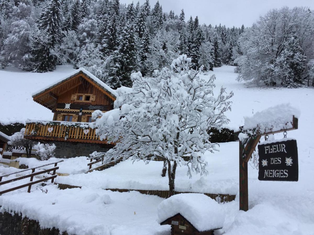 Chalet Fleur Des Neiges Saint-Jean-dʼAulps Екстериор снимка