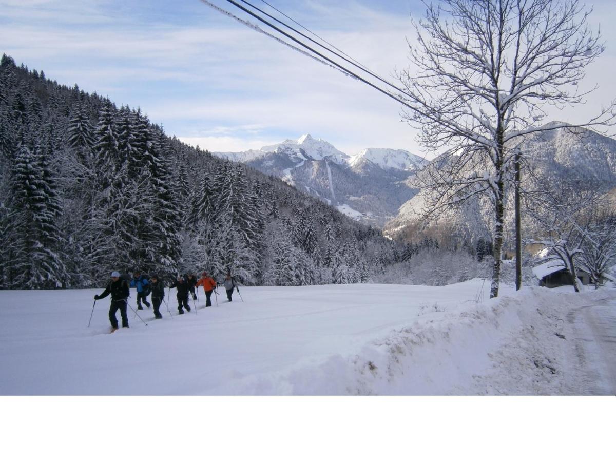 Chalet Fleur Des Neiges Saint-Jean-dʼAulps Екстериор снимка