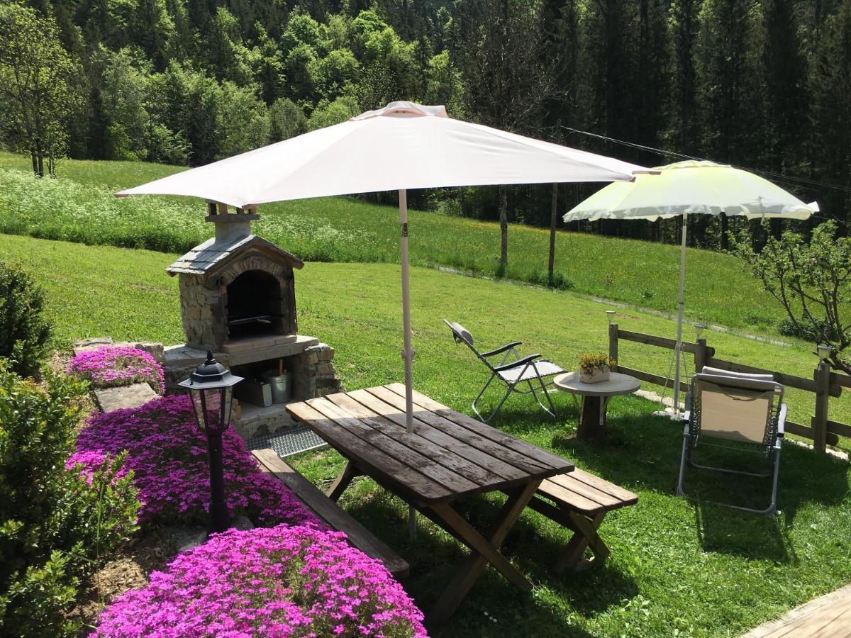 Chalet Fleur Des Neiges Saint-Jean-dʼAulps Екстериор снимка
