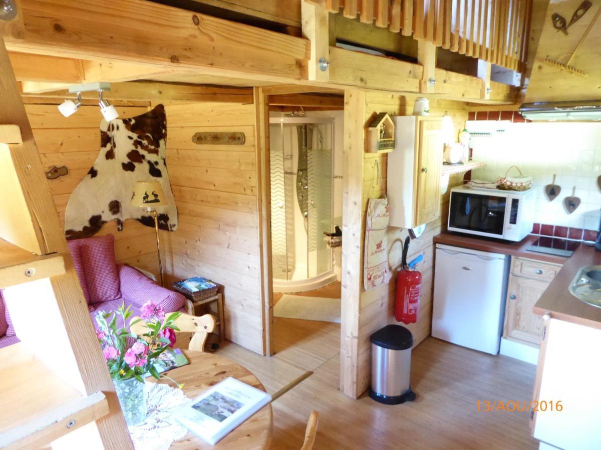Chalet Fleur Des Neiges Saint-Jean-dʼAulps Екстериор снимка